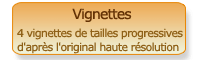 Cr�er des vignettes de tailles diff�rentes et progressives � partir d'un original et les recevoir par mail.